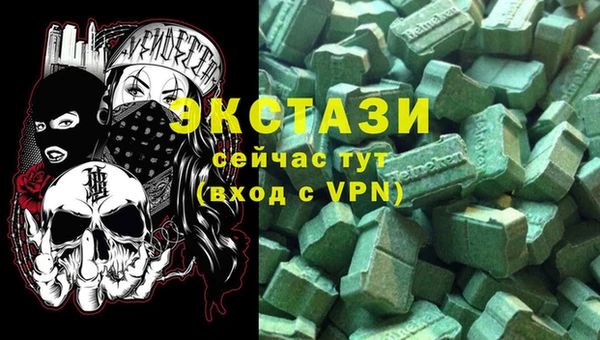 сатива Новозыбков