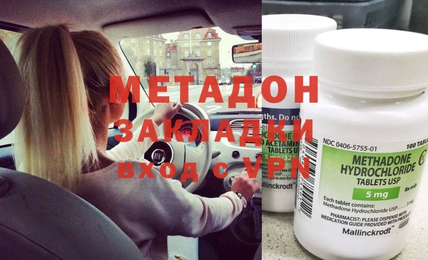 сатива Новозыбков