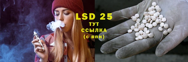 тгк Новодвинск