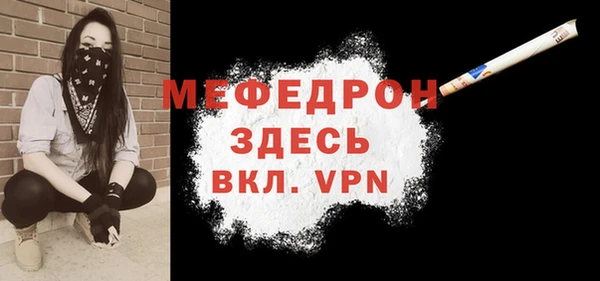 сатива Новозыбков