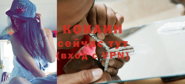 тгк Новодвинск