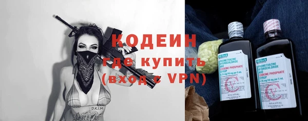 сатива Новозыбков