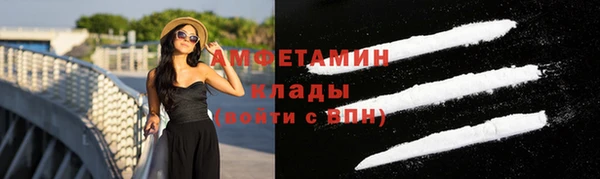 сатива Новозыбков