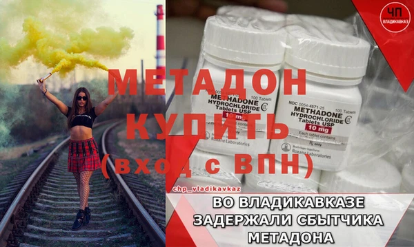 сатива Новозыбков