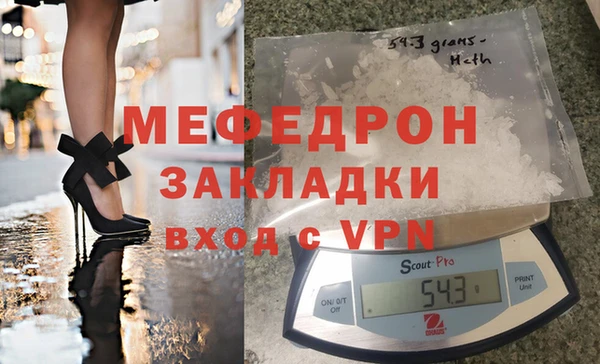сатива Новозыбков