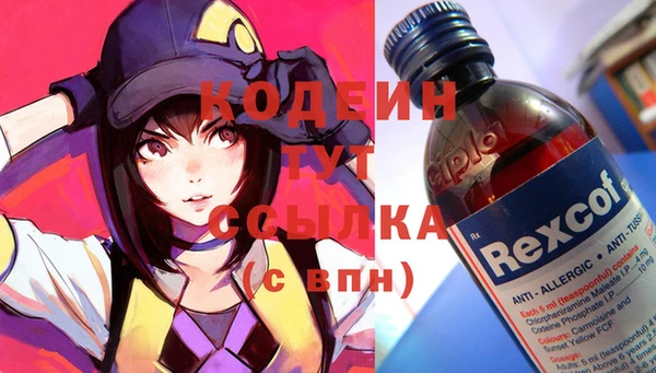 сатива Новозыбков