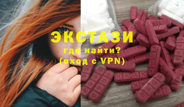сатива Новозыбков