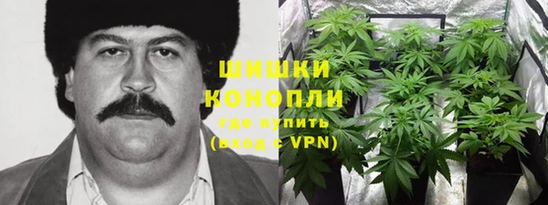 тгк Новодвинск