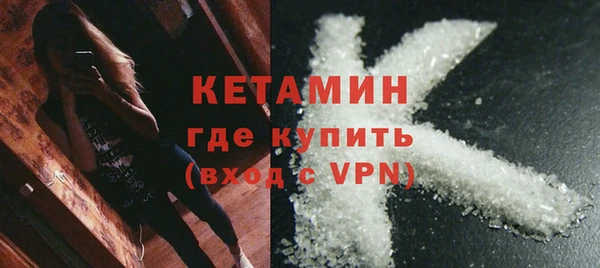 сатива Новозыбков