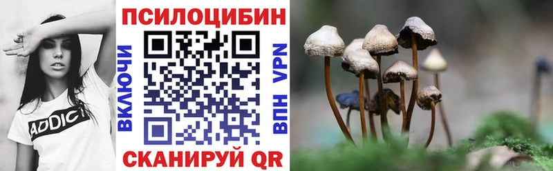 Псилоцибиновые грибы Magic Shrooms  Тайга 